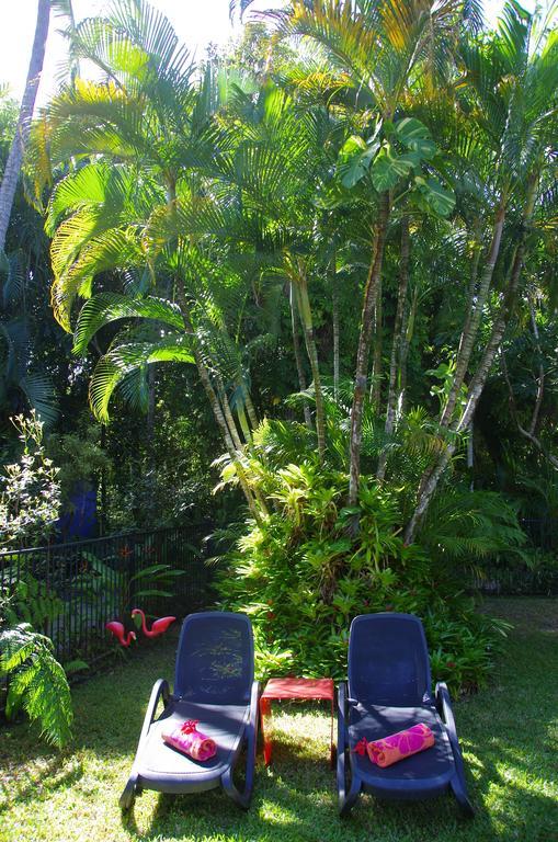 Pink Flamingo Resort Port Douglas Exteriör bild