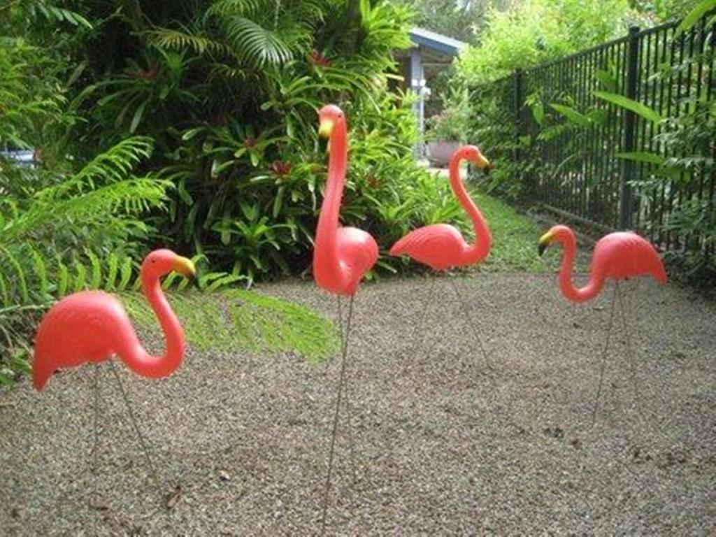 Pink Flamingo Resort Port Douglas Exteriör bild