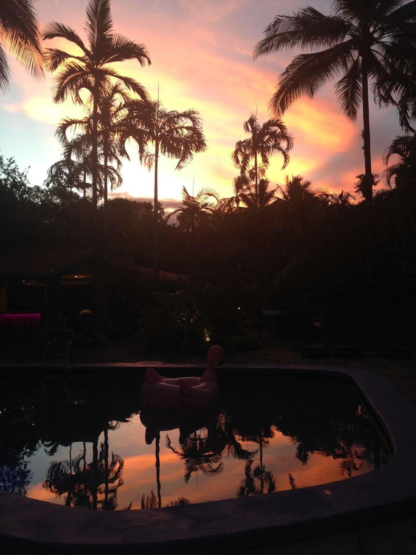Pink Flamingo Resort Port Douglas Exteriör bild