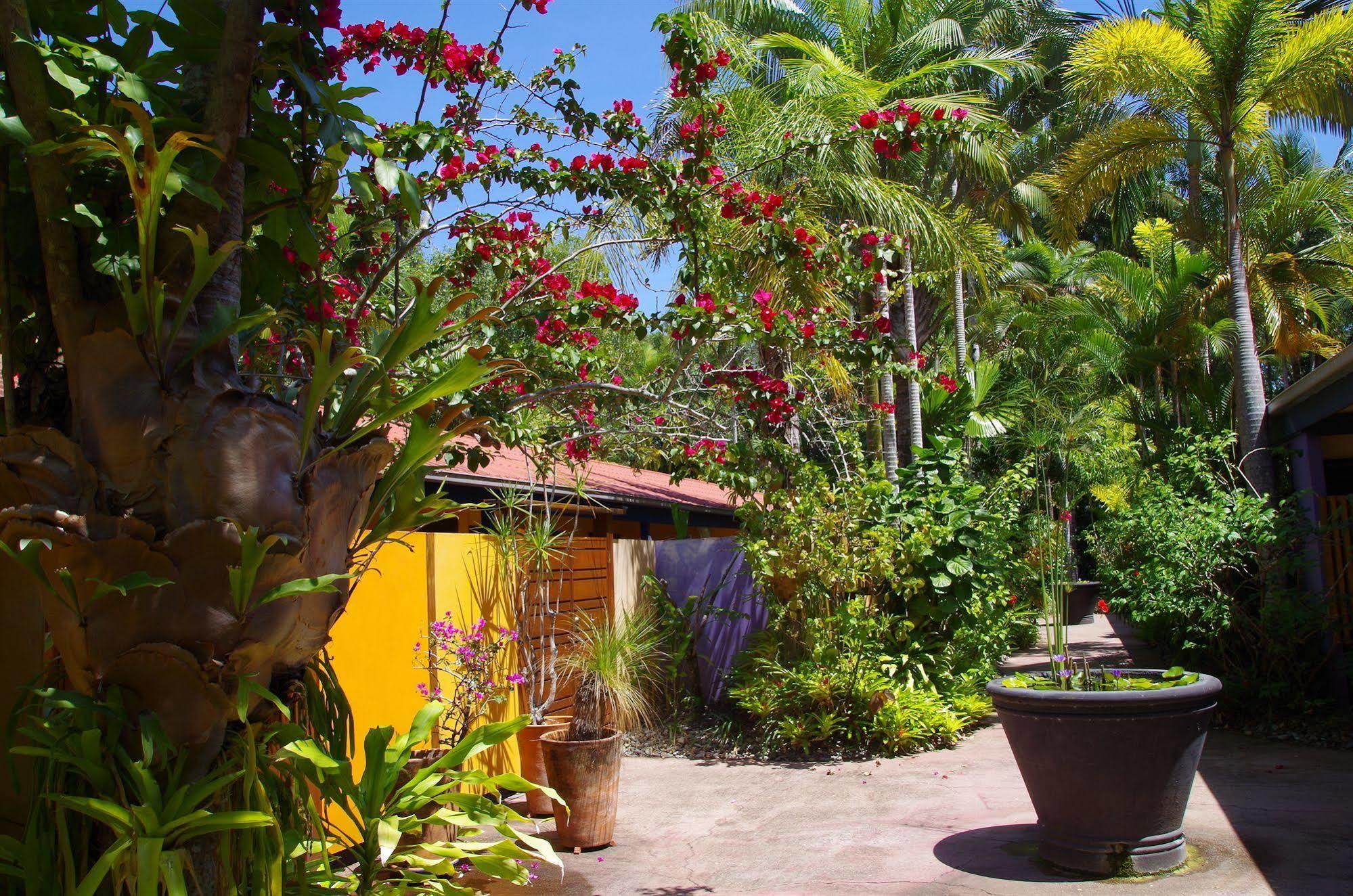 Pink Flamingo Resort Port Douglas Exteriör bild