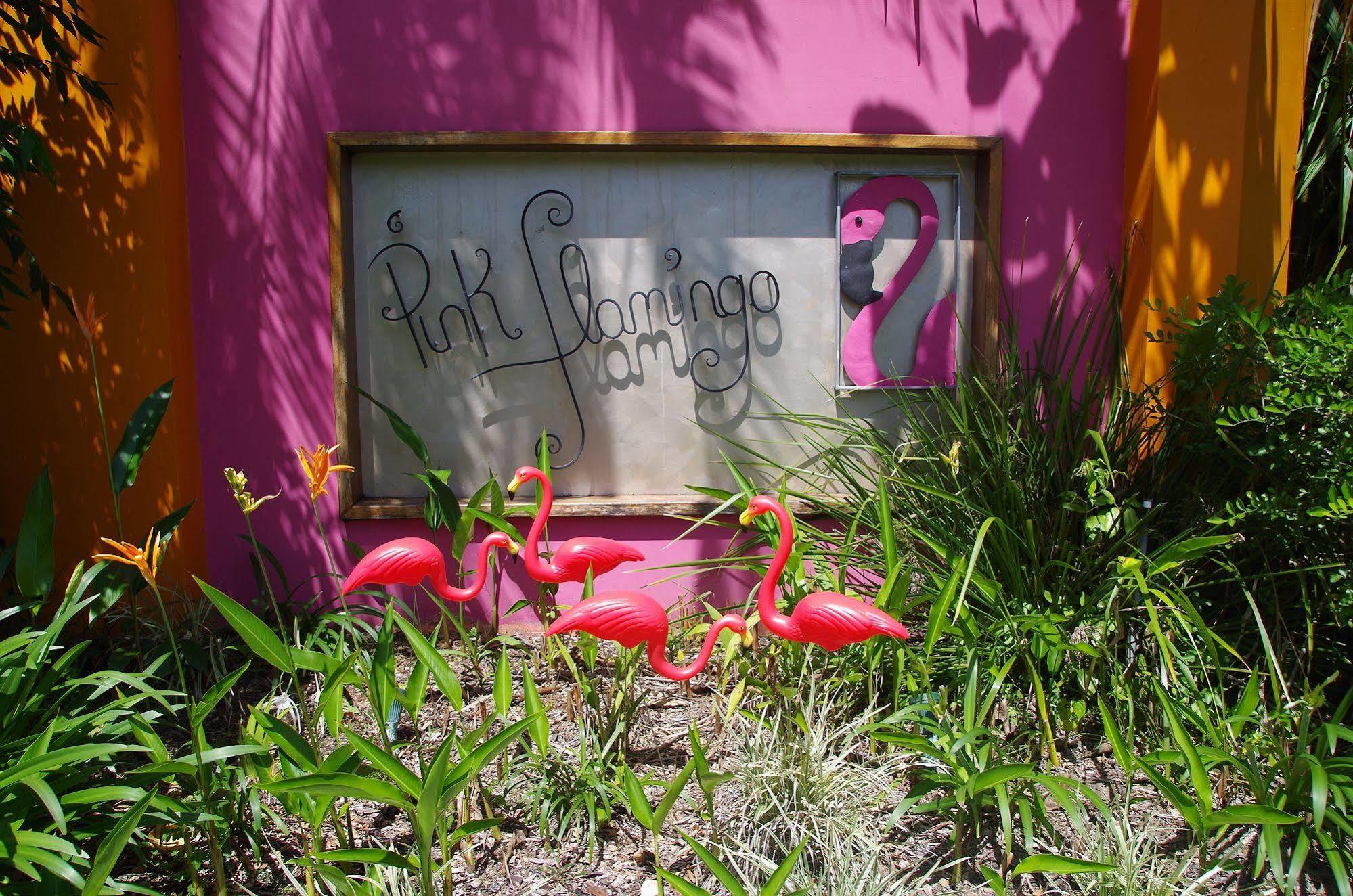 Pink Flamingo Resort Port Douglas Exteriör bild